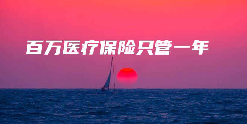 百万医疗保险只管一年-保点通