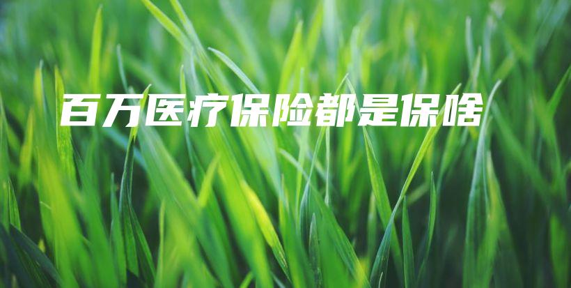 百万医疗保险都是保啥-保点通