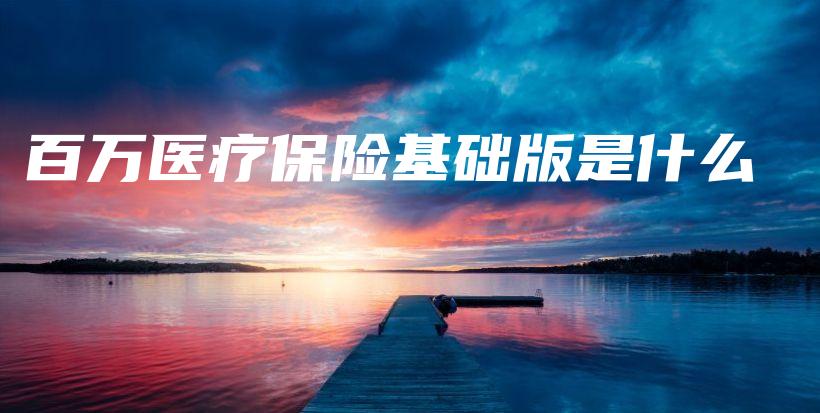 百万医疗保险基础版是什么-保点通