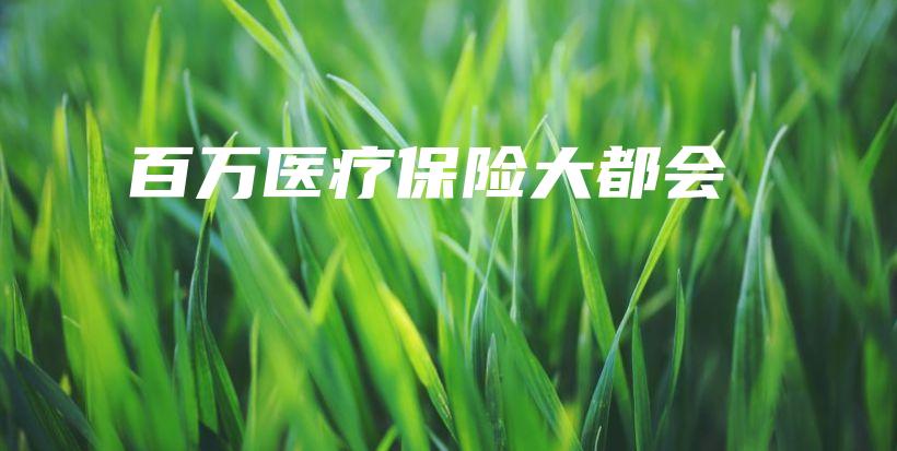 百万医疗保险大都会-保点通