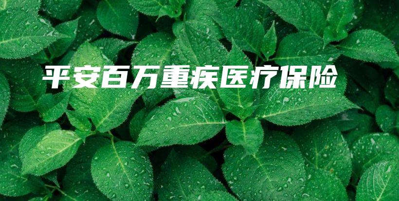平安百万重疾医疗保险-保点通