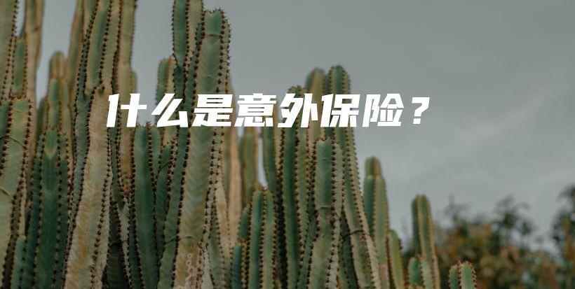 什么是意外保险？-保点通
