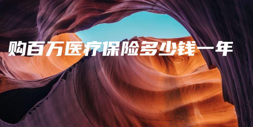 购百万医疗保险多少钱一年-保点通