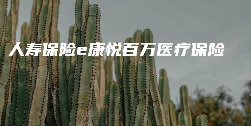 人寿保险e康悦百万医疗保险-保点通