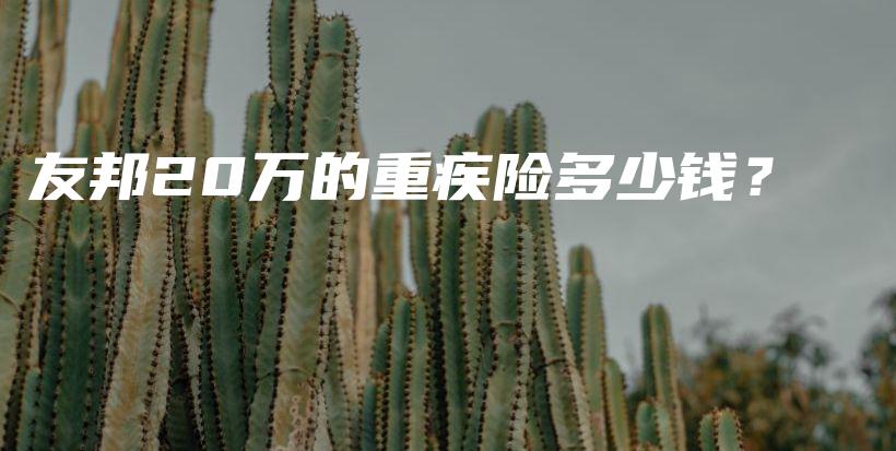 友邦20万的重疾险多少钱？-保点通