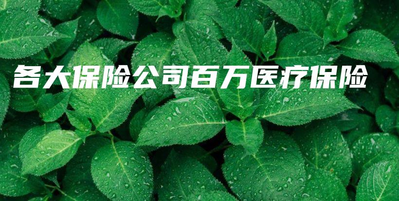 各大保险公司百万医疗保险-保点通