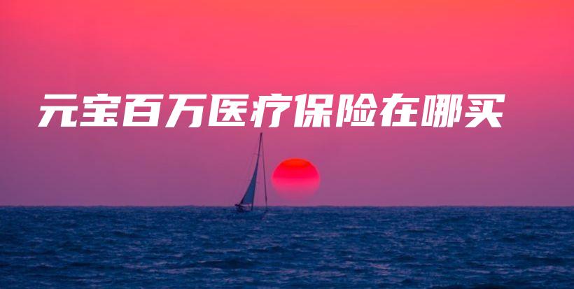 元宝百万医疗保险在哪买-保点通