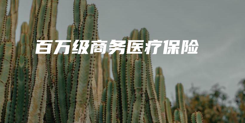 百万级商务医疗保险-保点通