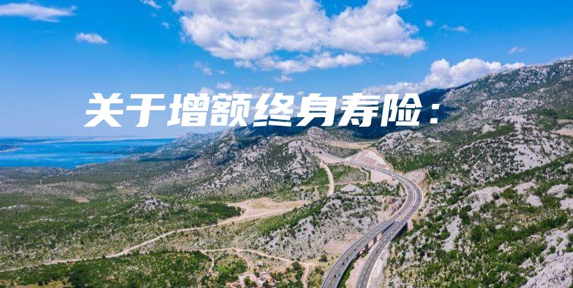关于增额终身寿险：-保点通