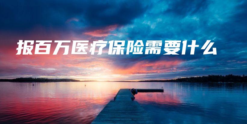 报百万医疗保险需要什么-保点通