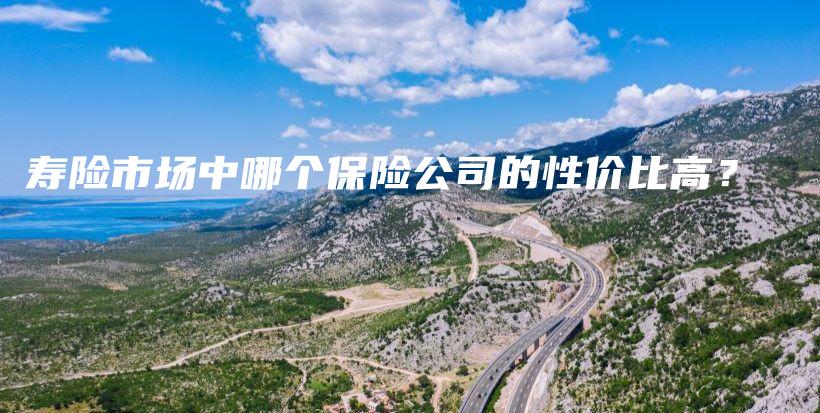 寿险市场中哪个保险公司的性价比高？-保点通