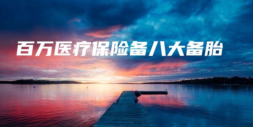 百万医疗保险备八大备胎-保点通