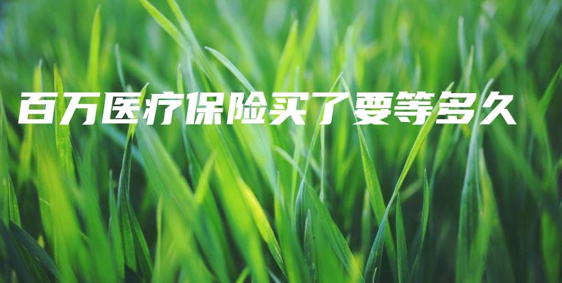 百万医疗保险买了要等多久-保点通