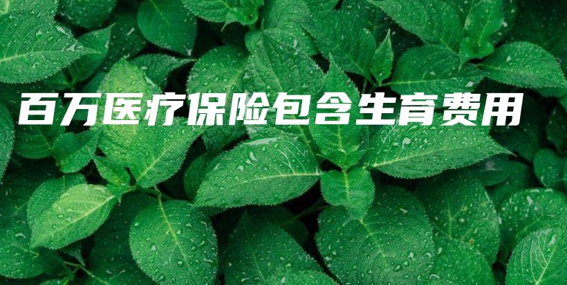 百万医疗保险包含生育费用-保点通