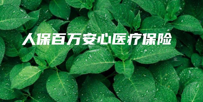 人保百万安心医疗保险-保点通