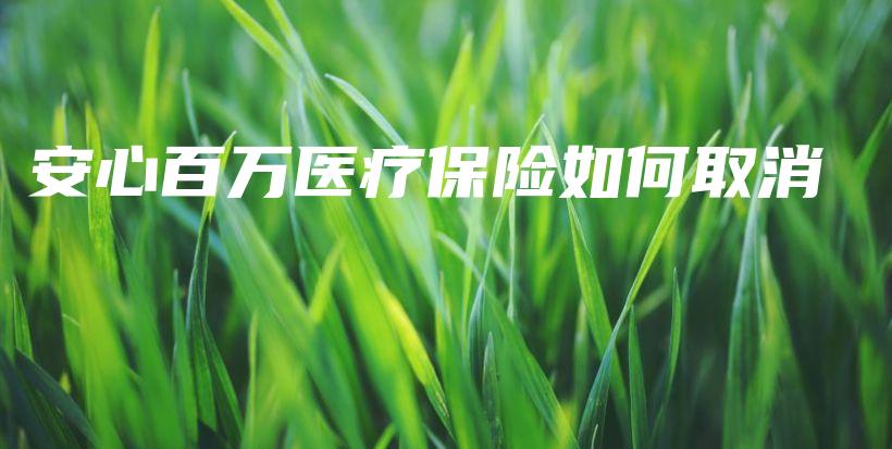 安心百万医疗保险如何取消-保点通