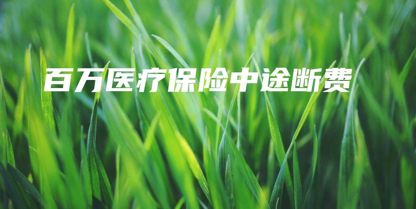 百万医疗保险中途断费-保点通