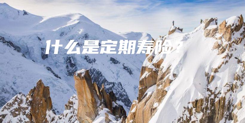 什么是定期寿险？-保点通