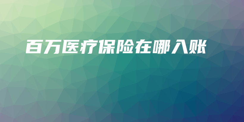 百万医疗保险在哪入账-保点通