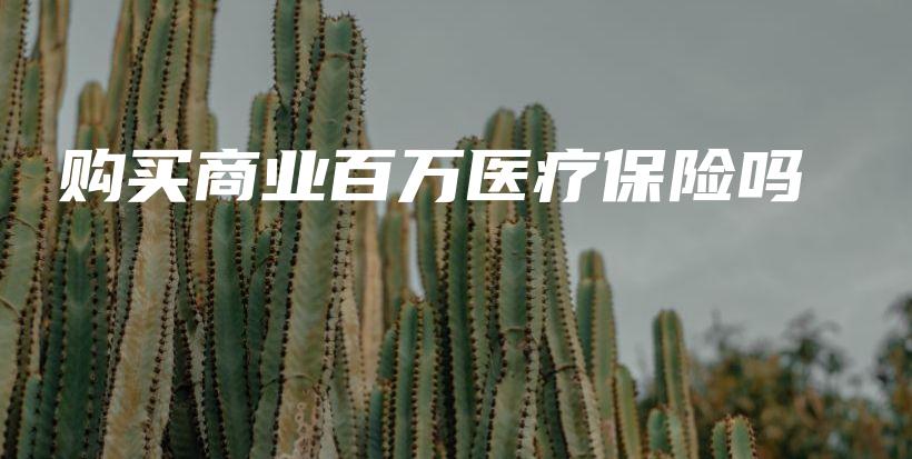 购买商业百万医疗保险吗-保点通