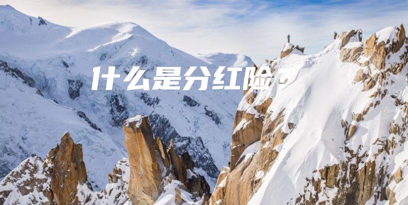 什么是分红险？-保点通