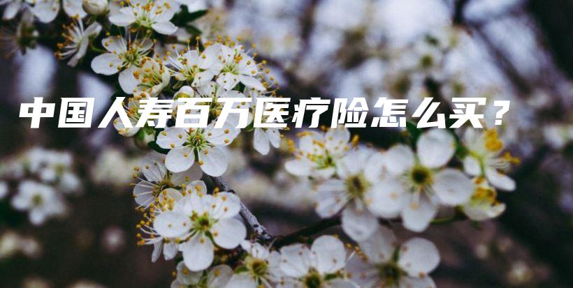 中国人寿百万医疗险怎么买？-保点通