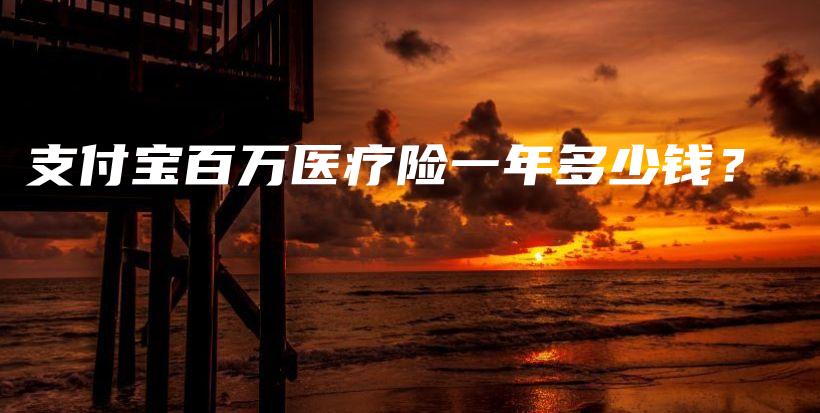 支付宝百万医疗险一年多少钱？-保点通