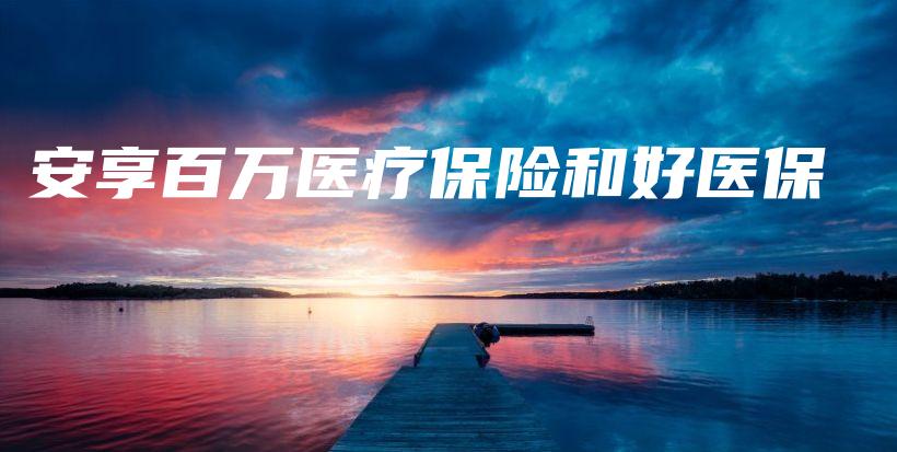 安享百万医疗保险和好医保-保点通