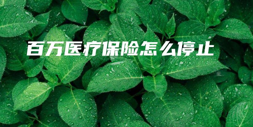 百万医疗保险怎么停止-保点通