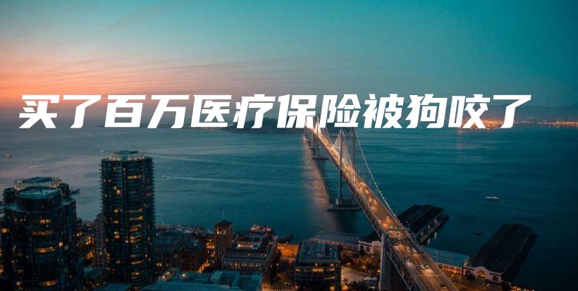 买了百万医疗保险被狗咬了-保点通