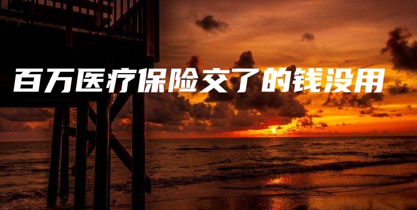 百万医疗保险交了的钱没用-保点通