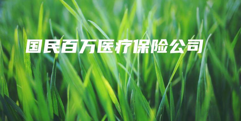 国民百万医疗保险公司-保点通