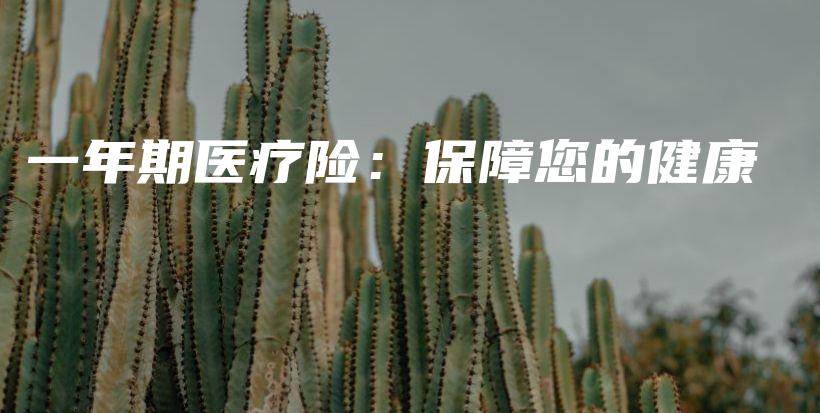 一年期医疗险：保障您的健康-保点通