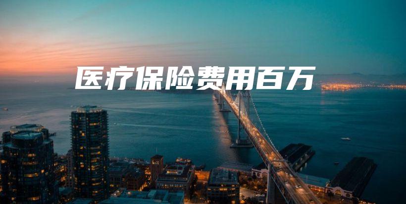 医疗保险费用百万-保点通