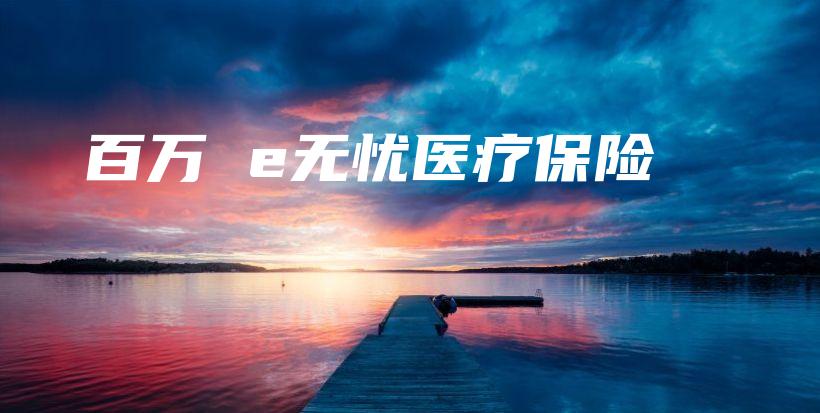 百万 e无忧医疗保险-保点通