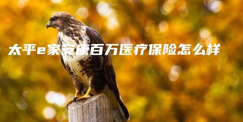 太平e家安康百万医疗保险怎么样-保点通