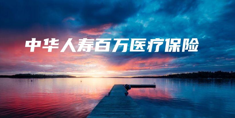 中华人寿百万医疗保险-保点通