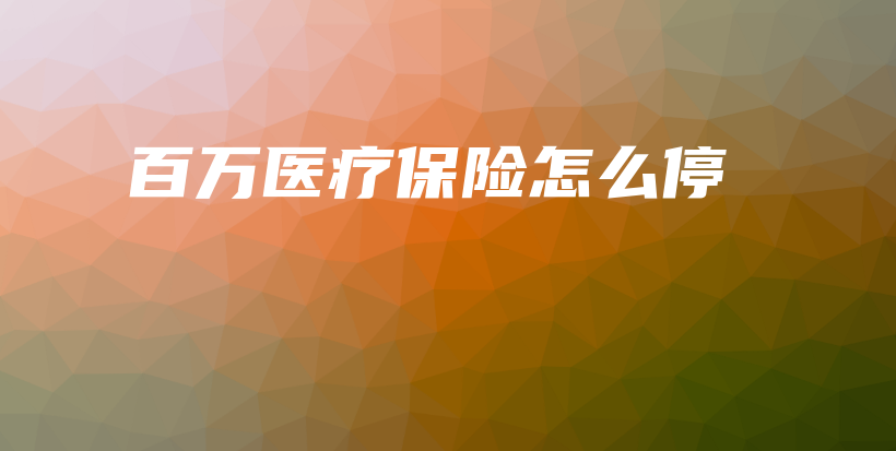 百万医疗保险怎么停-保点通