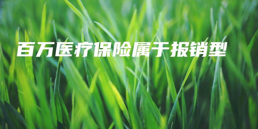 百万医疗保险属于报销型-保点通