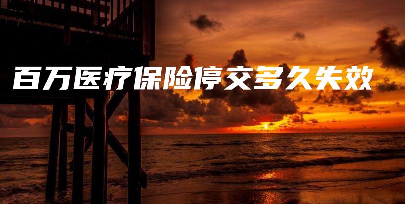 百万医疗保险停交多久失效-保点通