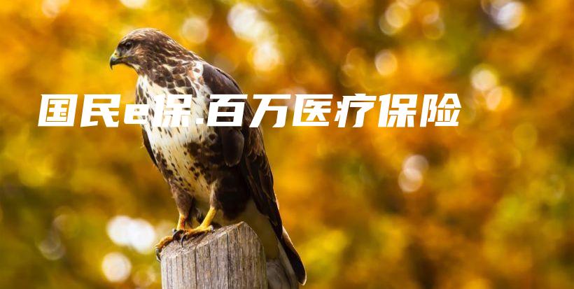 国民e保.百万医疗保险-保点通
