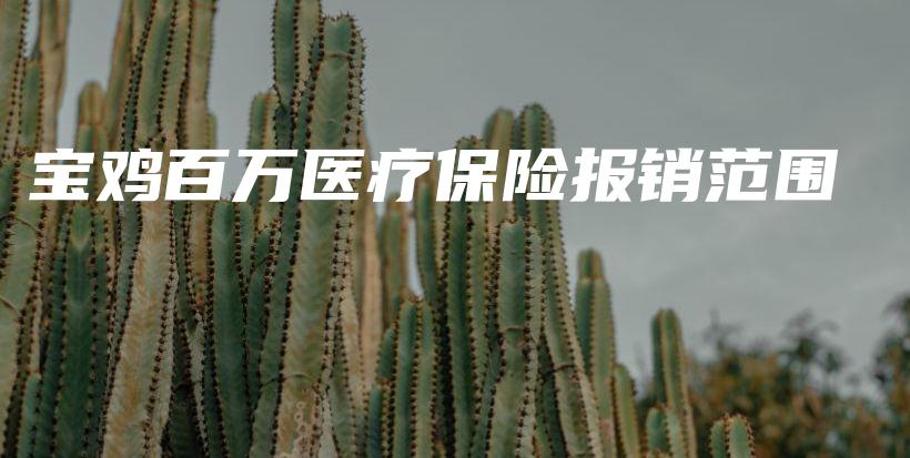 宝鸡百万医疗保险报销范围-保点通