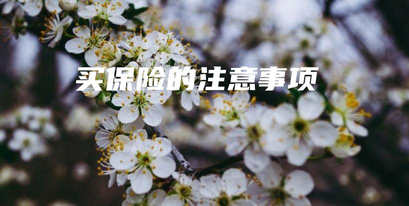 买保险的注意事项-保点通