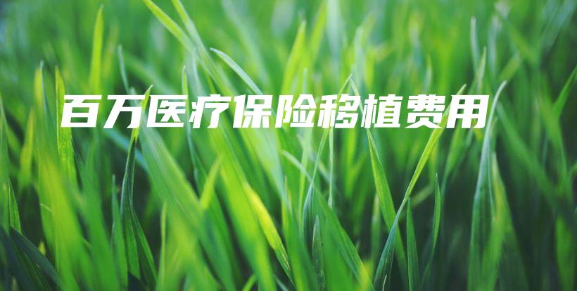 百万医疗保险移植费用-保点通