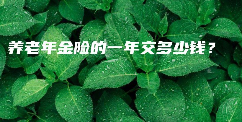 养老年金险的一年交多少钱？-保点通