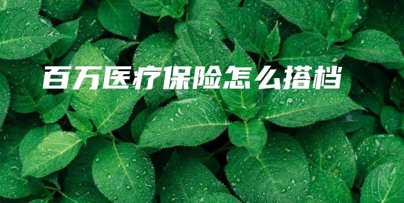 百万医疗保险怎么搭档-保点通